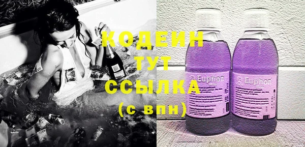 шишки Карпинск