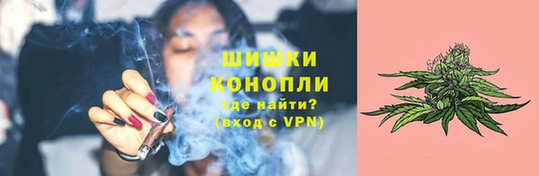 шишки Карпинск