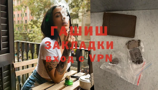 шишки Карпинск