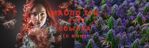 тгк Инта