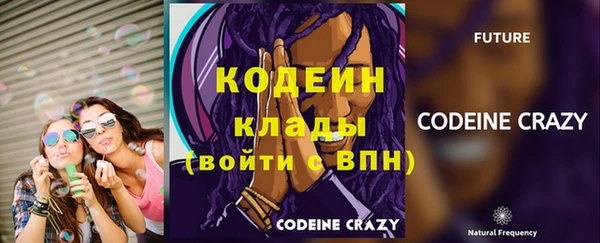 СК Зерноград